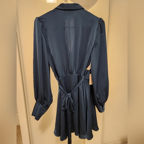 Babaton dress, size 4, deep pandora - Picture 2 of 3